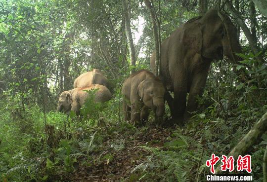 �˴κ���������㵽��������Ӱ���ͼ����Ӱ���ͼ ��