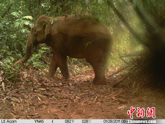 2011��1��29�պ���������㵽��������Ӱ���ͼ����Ӱ���ͼ ��