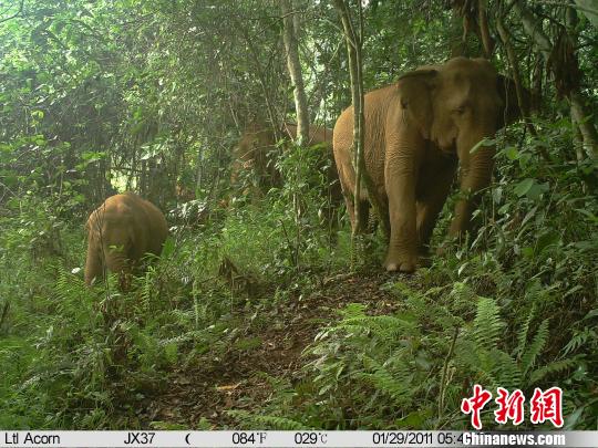 2011��1��29�պ���������㵽��������Ӱ���ͼ����Ӱ���ͼ ��