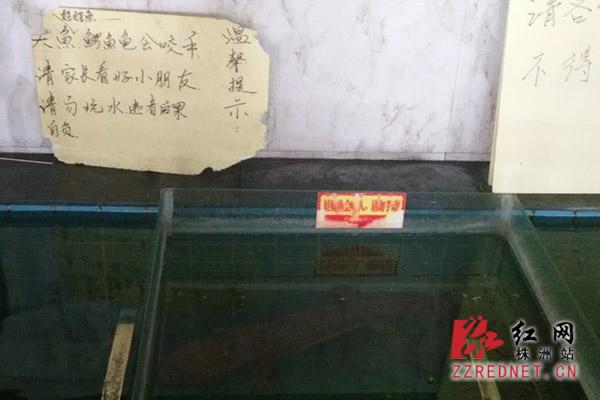 ���ӷ���۹�ˮ������ˮ ��������ҧ��