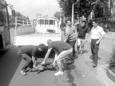 ��������С�����Ͼ��������� ����Ȼ��������