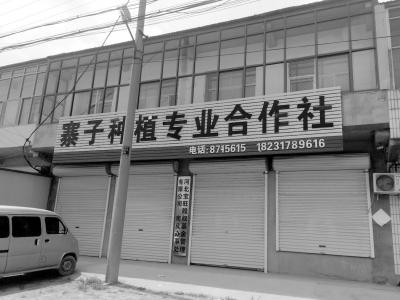 �ӱ�����һ������ ����800�໧����2600����