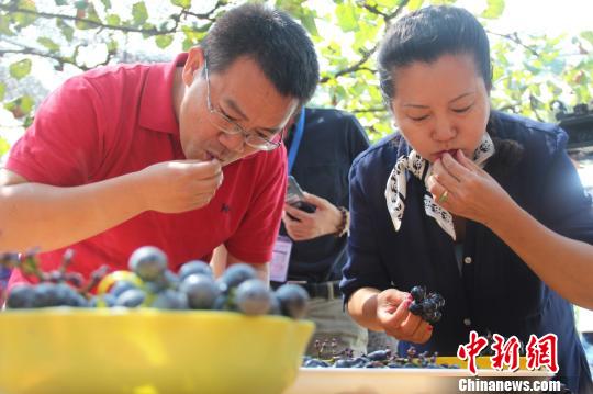 �ο����ڽ��г����ѱ�������¬��ΰ ��