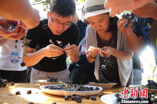 �ο����ڽ��г����ѱ�������¬��ΰ ��