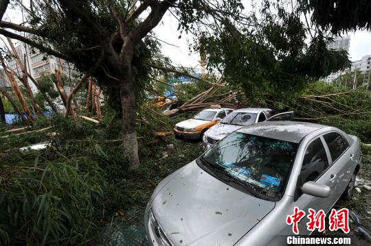 ������̨�紵������ľ���𻵡������������� ��