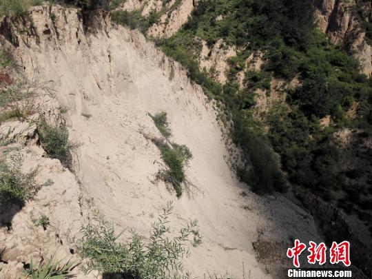 ɽ������һú���ú�¸���������ǧ������������ͼ��