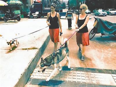 �ɶ�ְҵ�����޹��� һ�����ΰ��޹�һ��100Ԫ