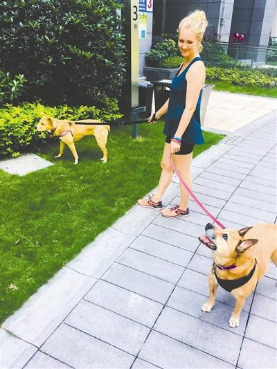 �ɶ�ְҵ�����޹��� һ�����ΰ��޹�һ��100Ԫ