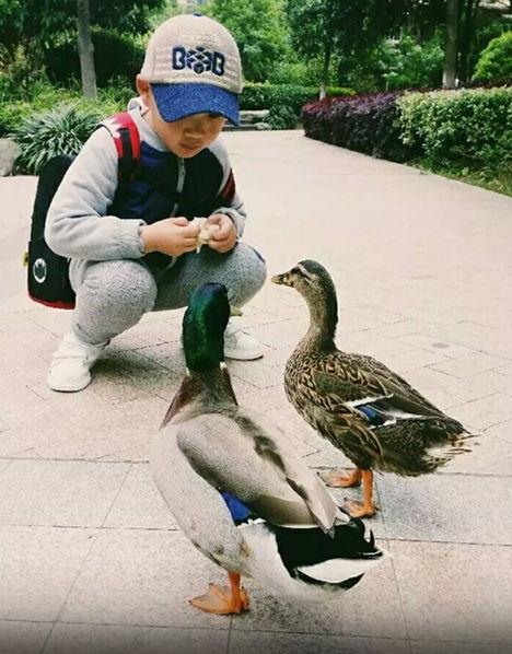 С������Ѽ��͵ ��������ǧԪѰ���޹��ڳ�����Ѽ