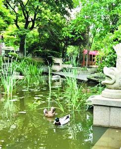 С������Ѽ��͵ ��������ǧԪѰ���޹��ڳ�����Ѽ