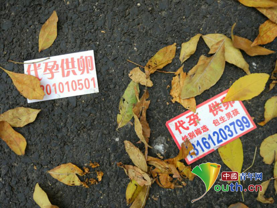 ������ѧ����ҽԺ��ֳҽѧ�����ſڵĴ��С����ѹ�档�й��������������� ��